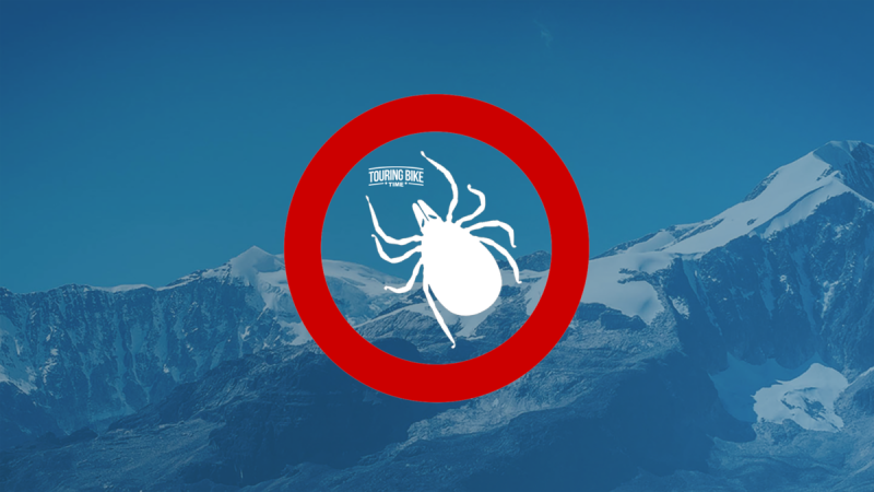 Осторожно, клещи! Эффективные способы защиты